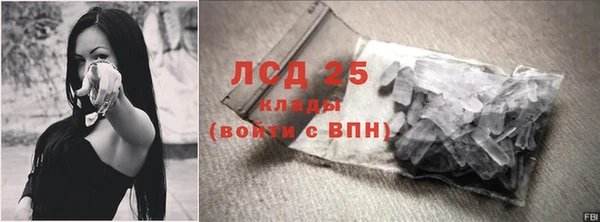 гашик Каменногорск