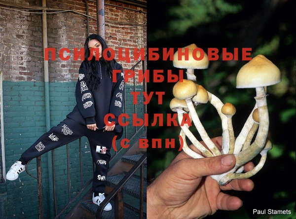 гашик Каменногорск