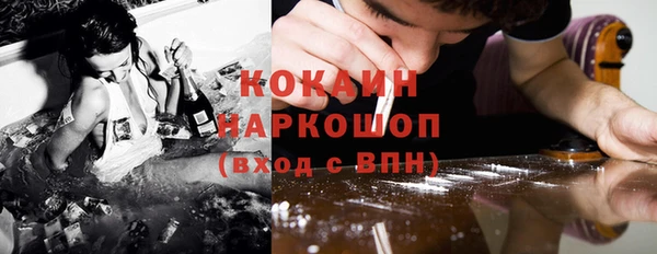 гашик Каменногорск
