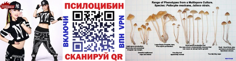 Псилоцибиновые грибы мицелий  Медвежьегорск 